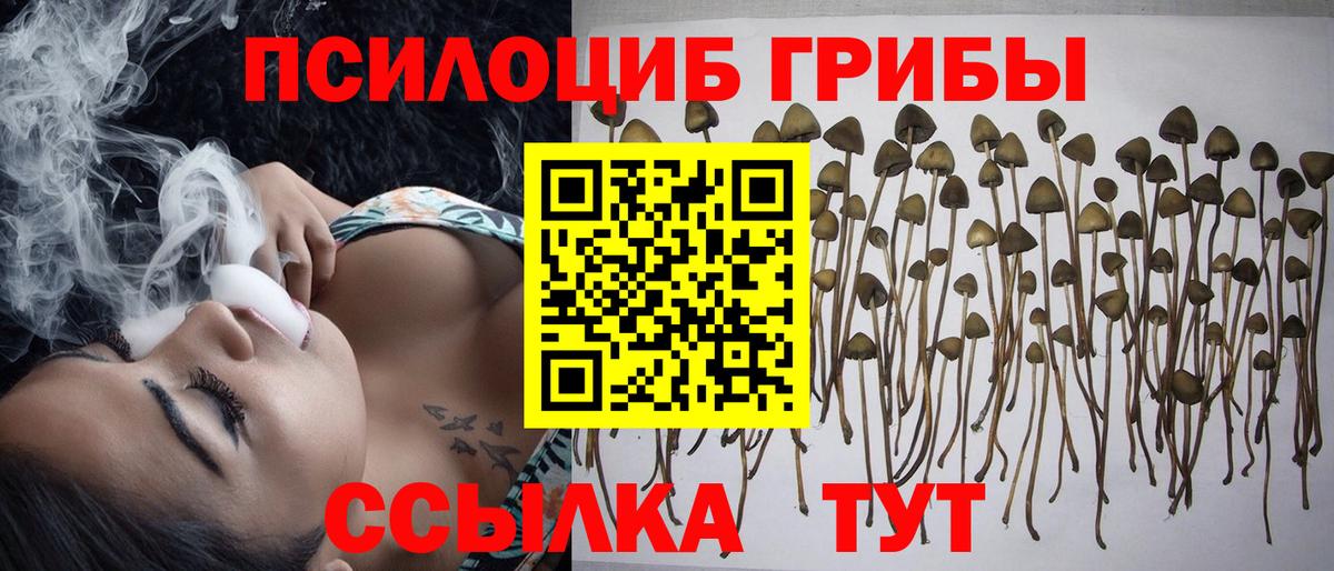 Галлюциногенные грибы ЛСД  Вход с VPN  где продают наркотики  Апшеронск 