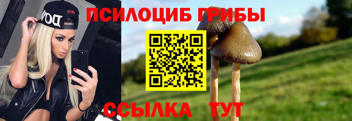 Галлюциногенные грибы MAGIC MUSHROOMS Апшеронск