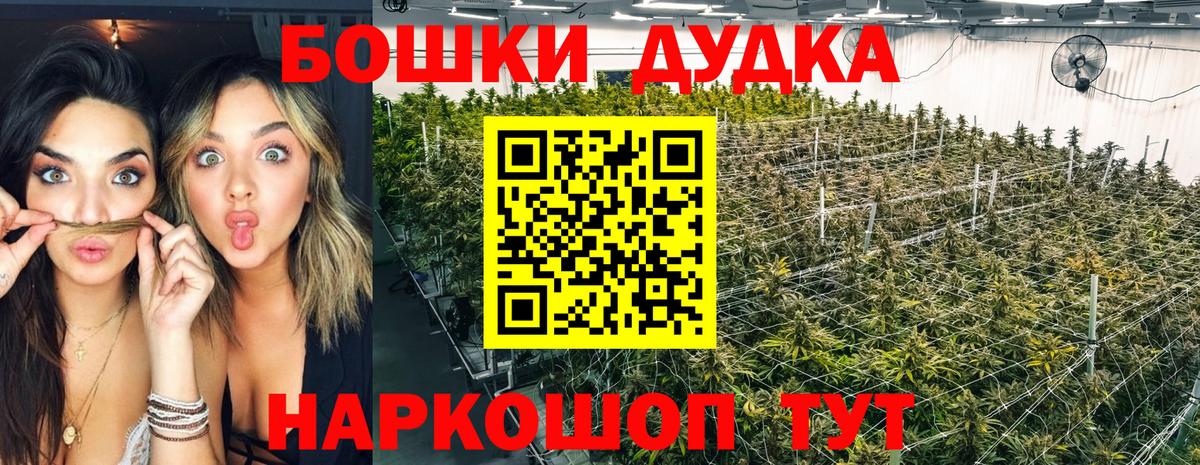 Каннабис Amnesia Апшеронск